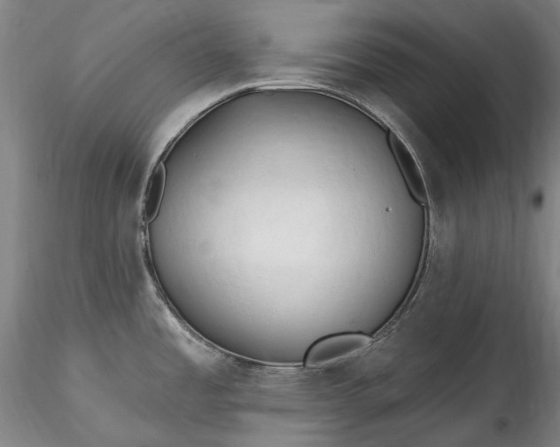 X0000115791485200911271215