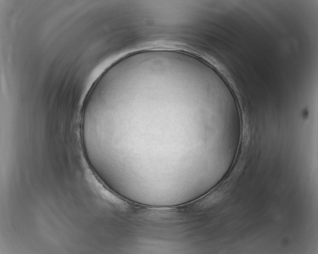 X0000115791486200911271215