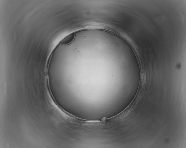 X0000115791487200911271215