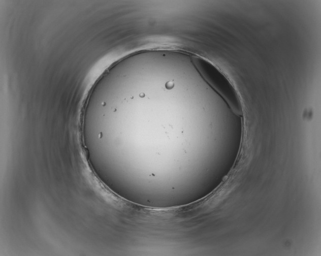 X0000115791488200911271215