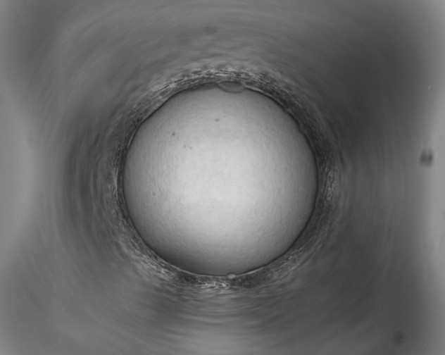 X0000115791489200911271215