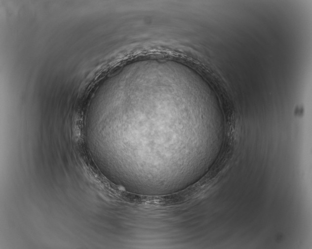 X0000115791490200911271215