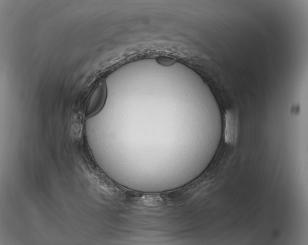 X0000115791491200911271215