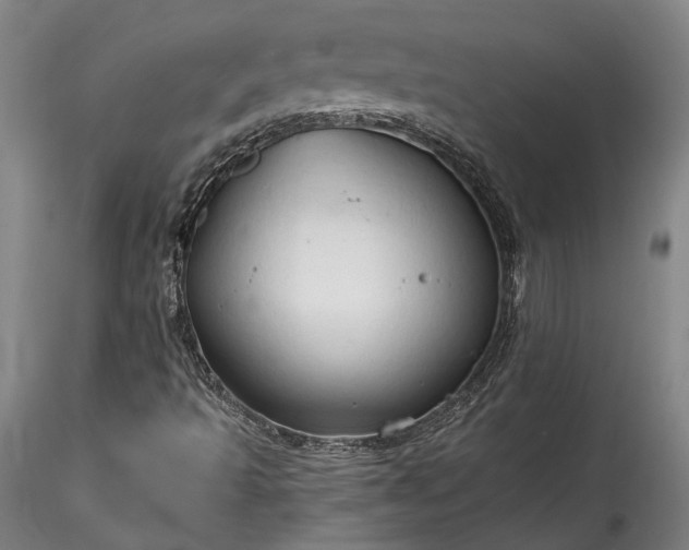 X0000115791493200911271215