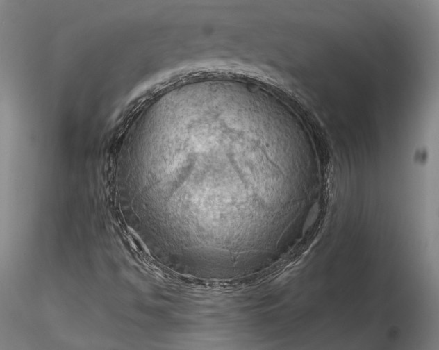 X0000115791494200911271215