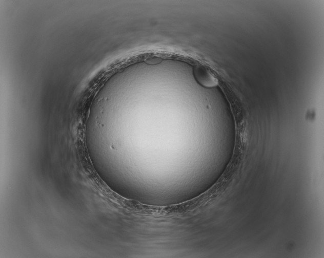 X0000115791495200911271215