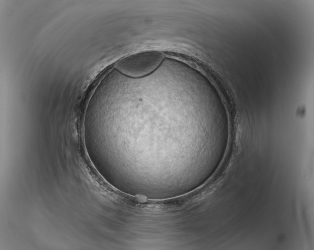 X0000115791497200911271215