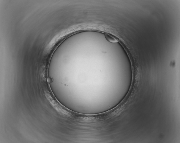 X0000115791499200911271215