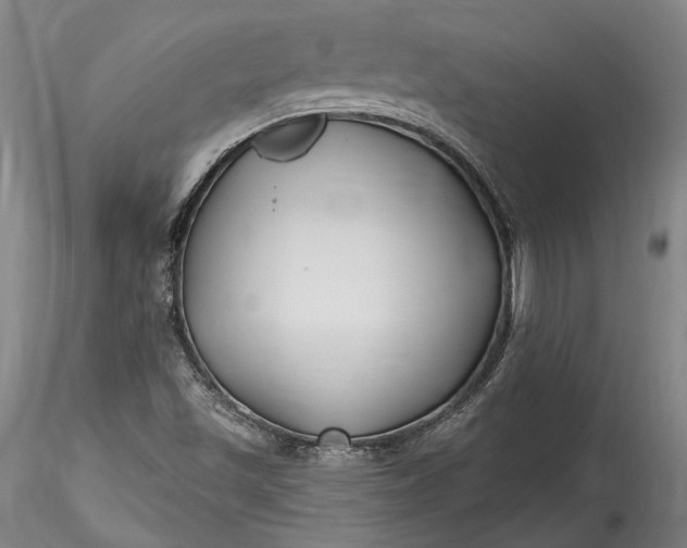 X0000115791501200911271215