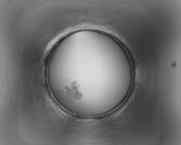 X0000115791502200911271215