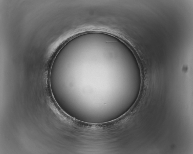 X0000115791503200911271215