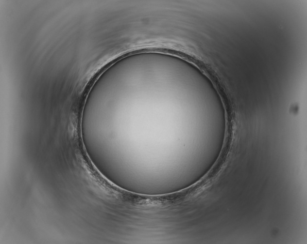 X0000115791505200911271215