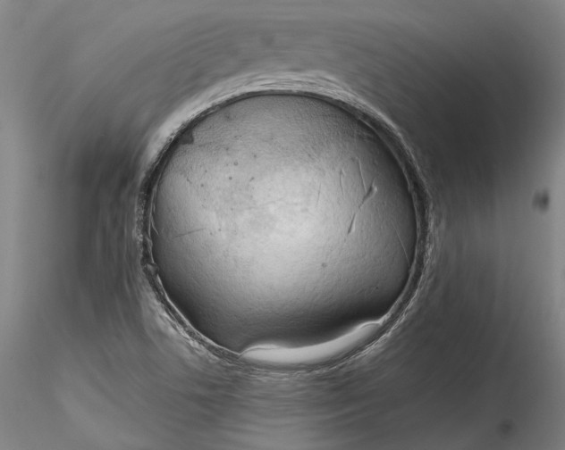 X0000115791506200911271215