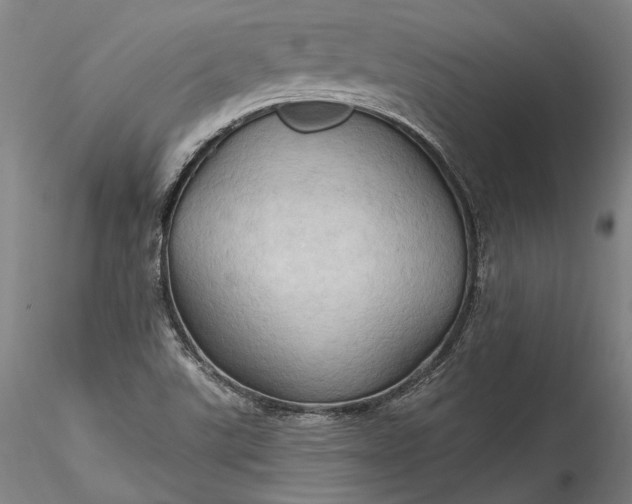 X0000115791507200911271215