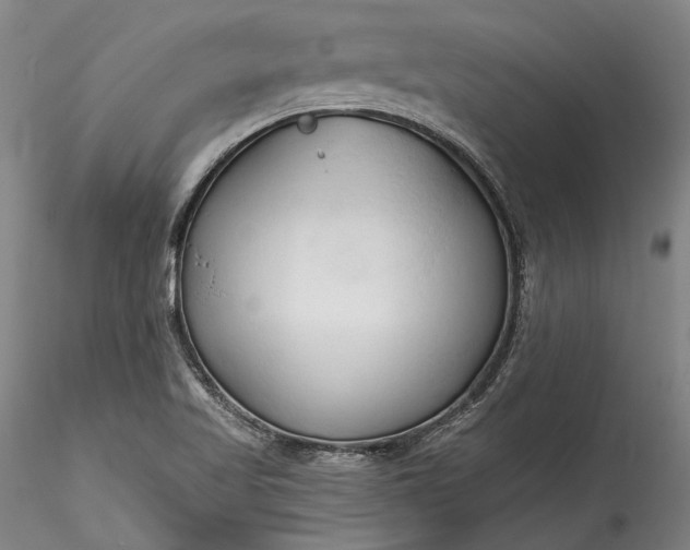 X0000115791509200911271215