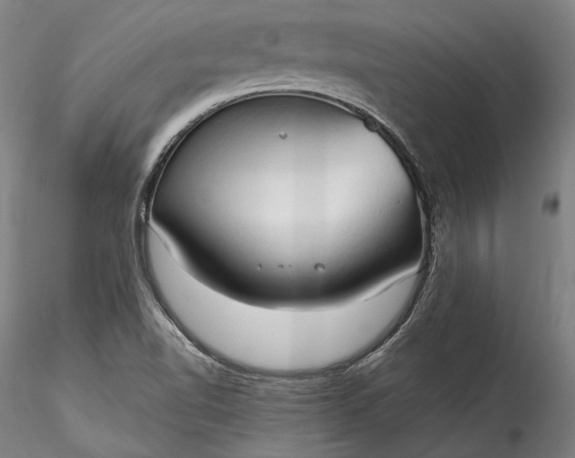 X0000115791510200911271215