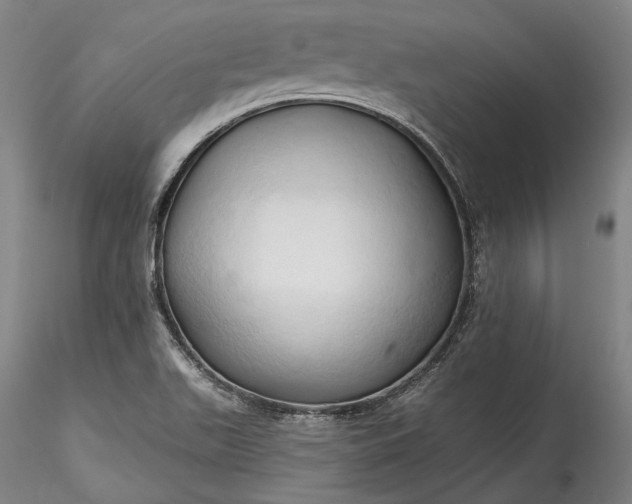 X0000115791511200911271215