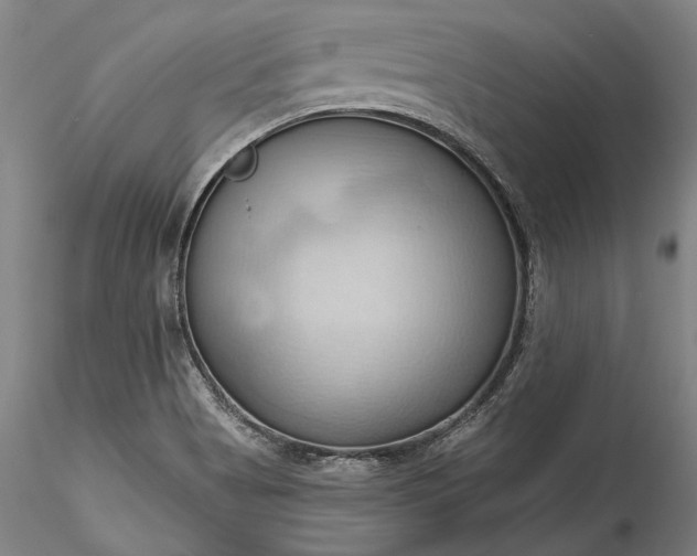 X0000115791513200911271215