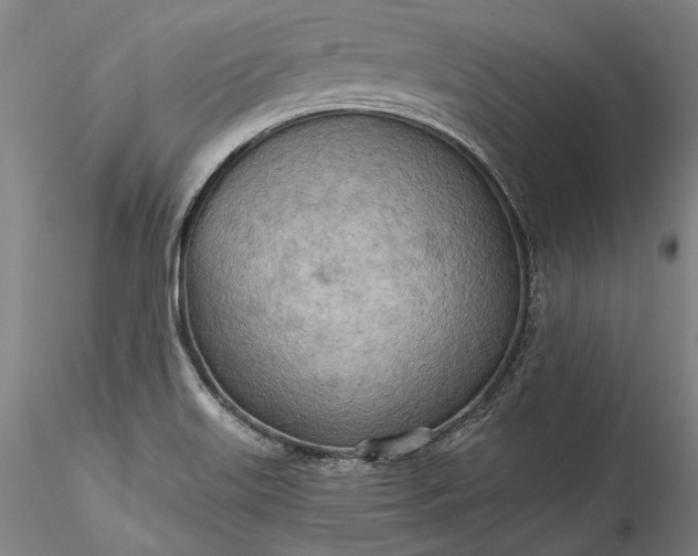 X0000115791515200911271215