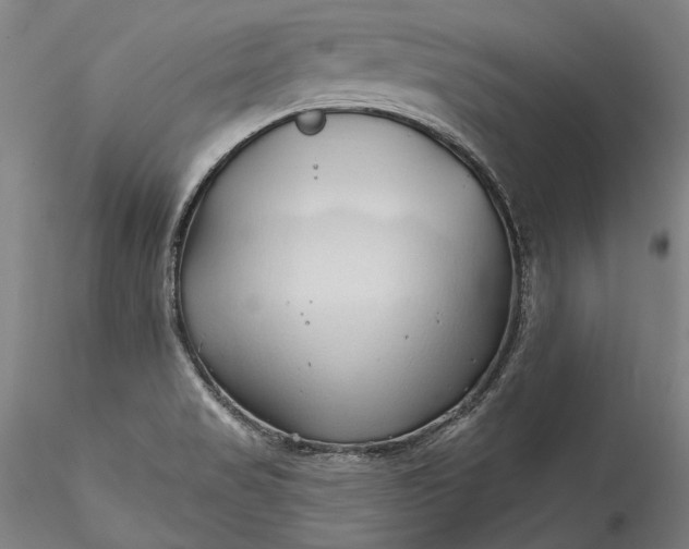 X0000115791517200911271215