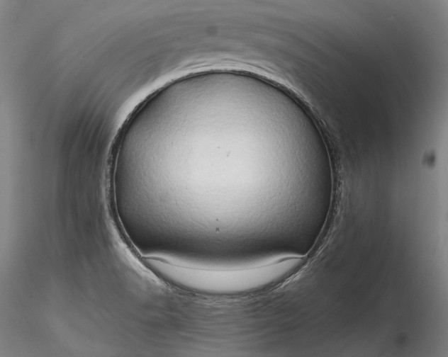 X0000115791518200911271215