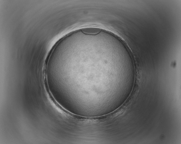 X0000115791519200911271215