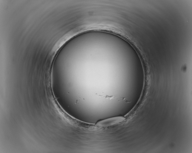 X0000115791521200911271215