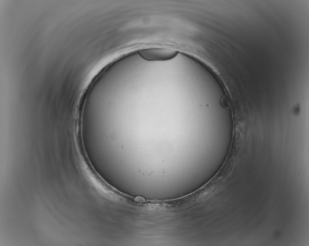 X0000115791523200911271215