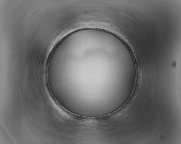 X0000115791525200911271215