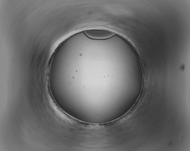 X0000115791526200911271215