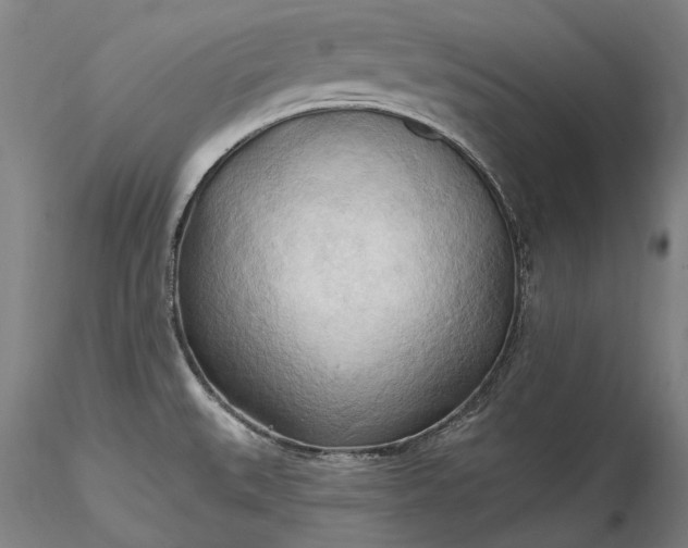 X0000115791527200911271215