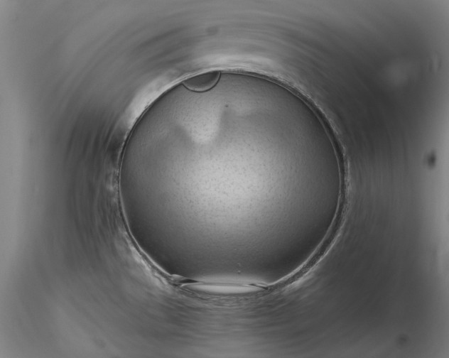 X0000115791529200911271215