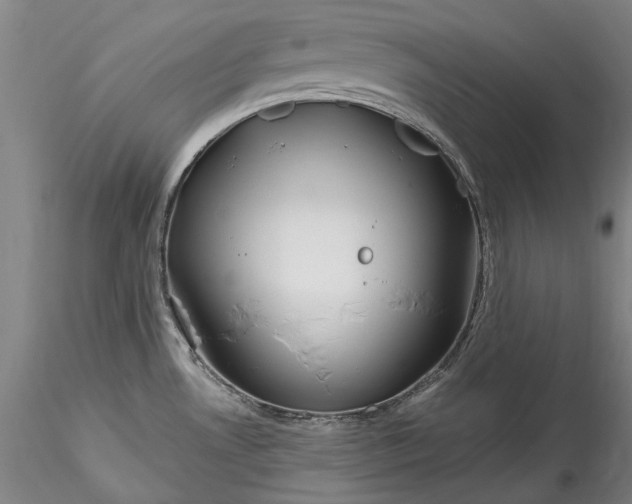 X0000115791530200911271215