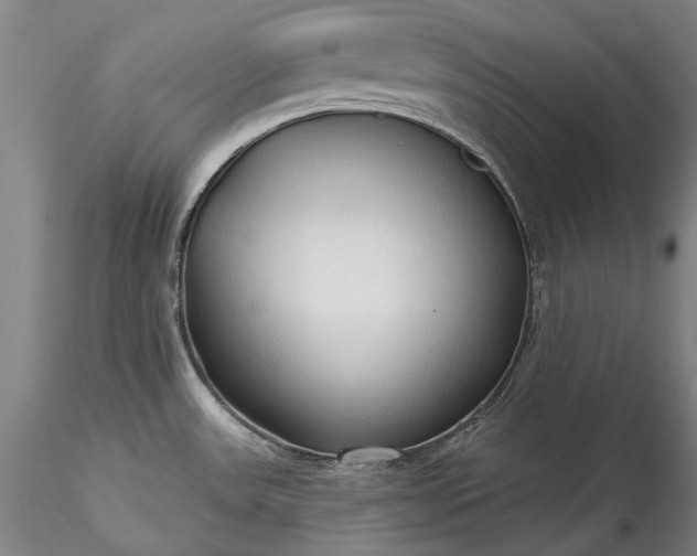 X0000115791531200911271215