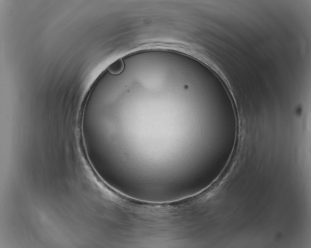 X0000115791533200911271215