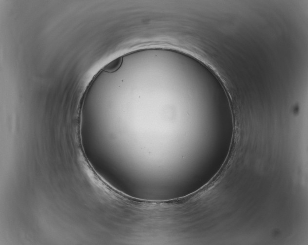 X0000115791534200911271215