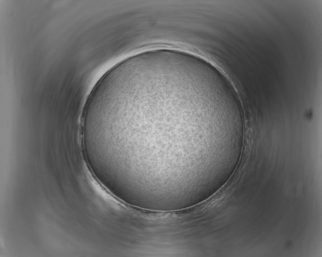 X0000115791535200911271215