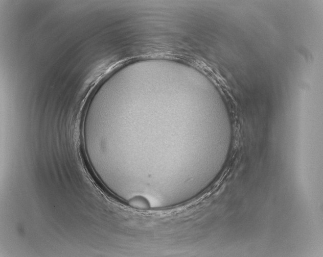 X0000115790002200912041522