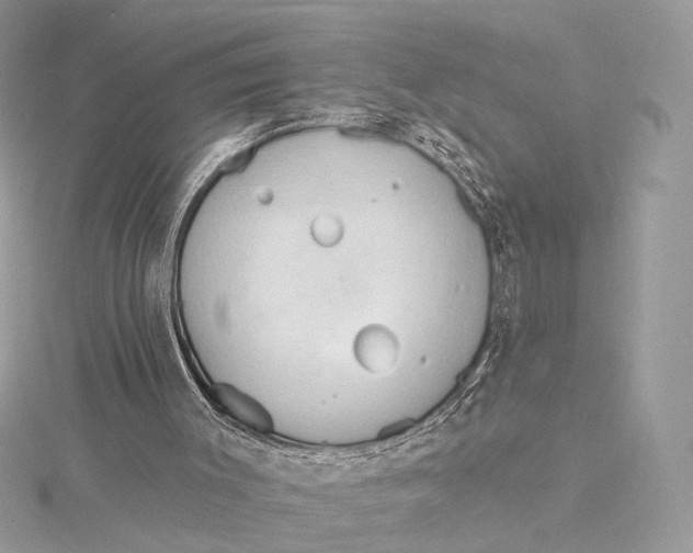 X0000115790003200912041522