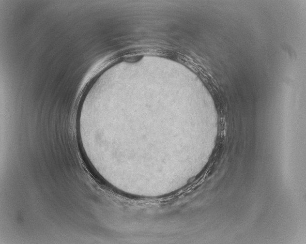 X0000115790004200912041522