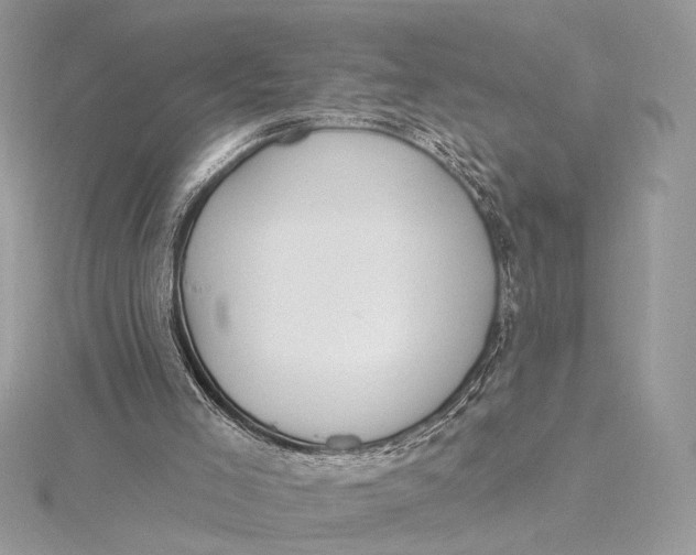 X0000115790005200912041522