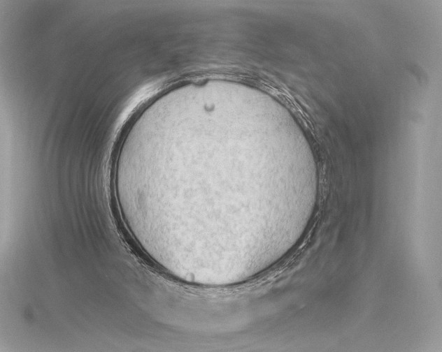 X0000115790006200912041522