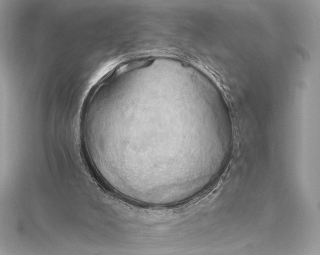 X0000115790008200912041522