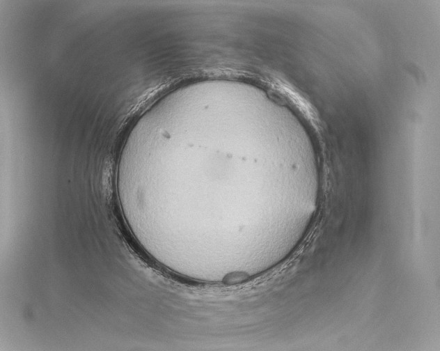 X0000115790009200912041522