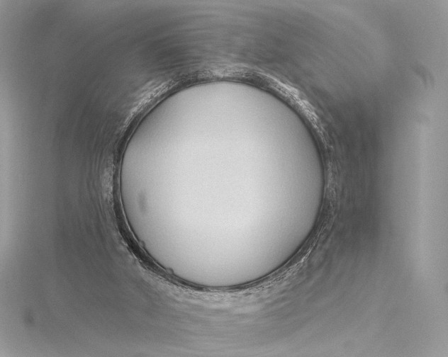 X0000115790010200912041522