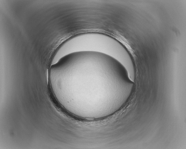 X0000115790013200912041522