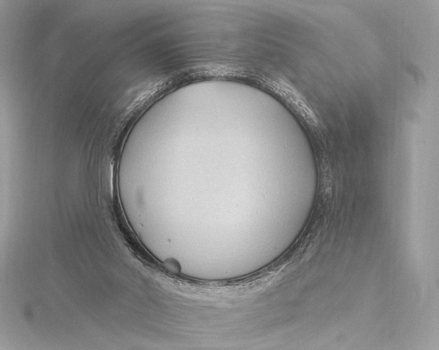 X0000115790014200912041522