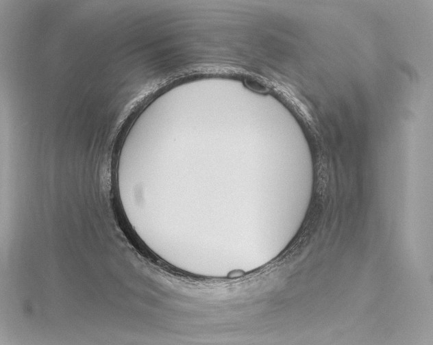 X0000115790015200912041522