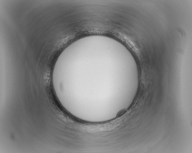 X0000115790017200912041522