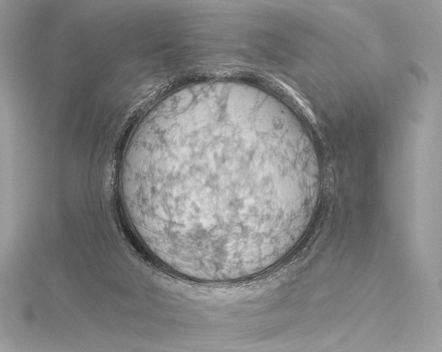 X0000115790018200912041522